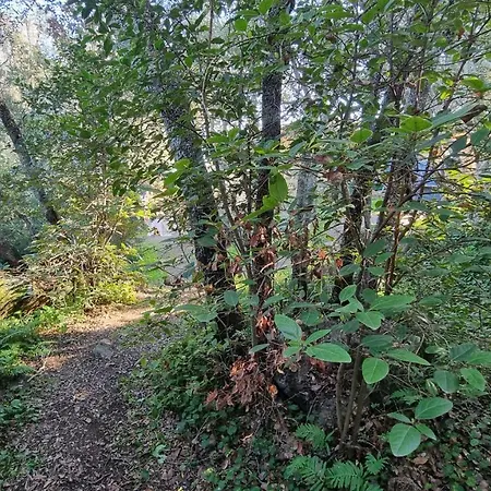 Casa Soprana - De Independant Avec Piscine Et Jardin Prives - Independant Of With Private Pool And Garden * Porto-Vecchio (Corsica)