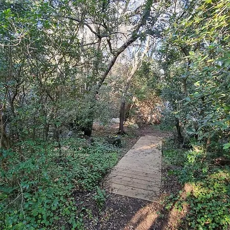 Casa Soprana - De Independant Avec Piscine Et Jardin Prives - Independant Of With Private Pool And Garden 別荘 *