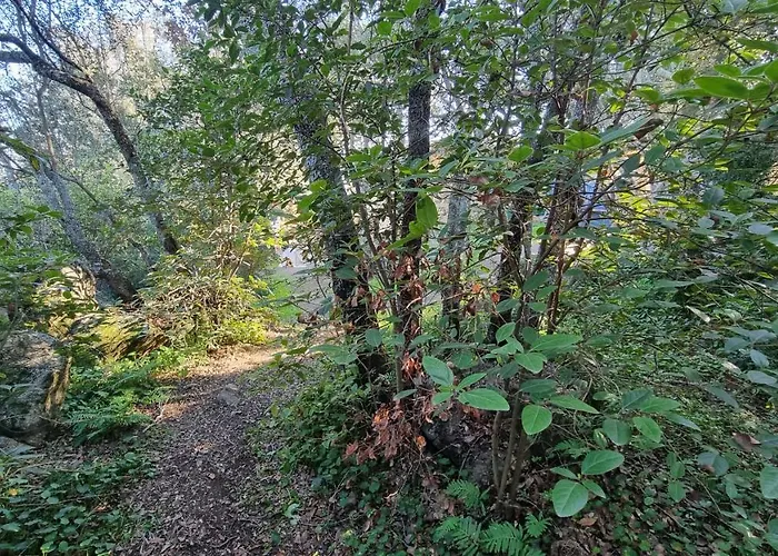 Casa Soprana - De Independant Avec Piscine Et Jardin Prives - Independant Of With Private Pool And Garden * بورتو فيكشْيو